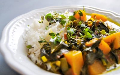Ayurvedisches Spinat Curry