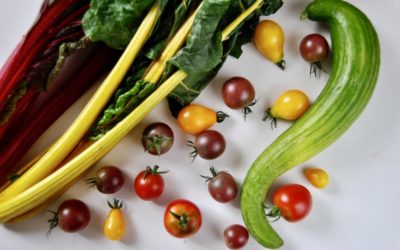 Ayurveda Tipps für den Herbst – Zeit für Erdung