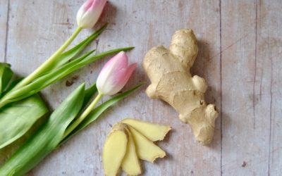 Frühlings Gewürze und ihre Heilkraft Teil 2: Ingwer