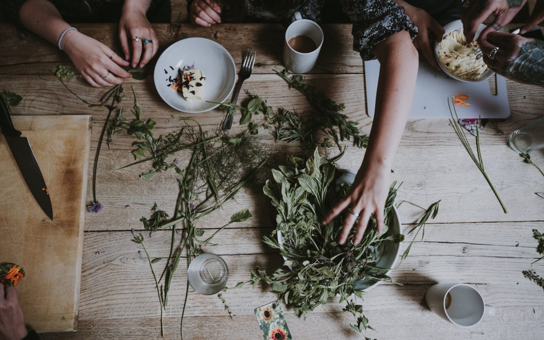 Ayurvedische Heilkräuter für Stabilität und mentale Stärke