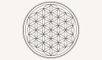 Mandala Ayurveda Webseite