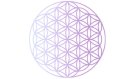 Mandala Ayurveda Webseite