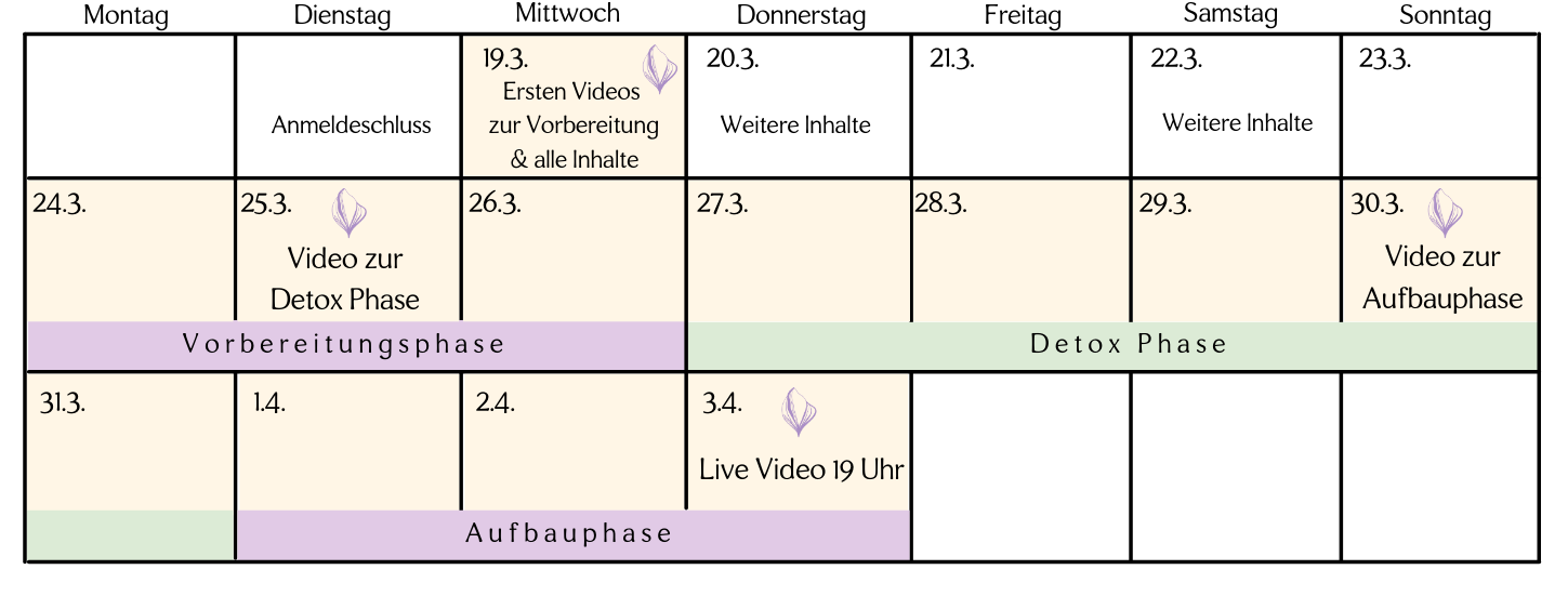 Detox Wochenplan